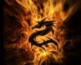 /album/fotogallerij/fire-dragon-jpg/