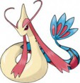 /album/fotogallerij/milotic-jpg/